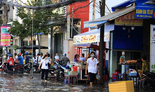 Huy động mọi nguồn lực phòng chống thiên tai