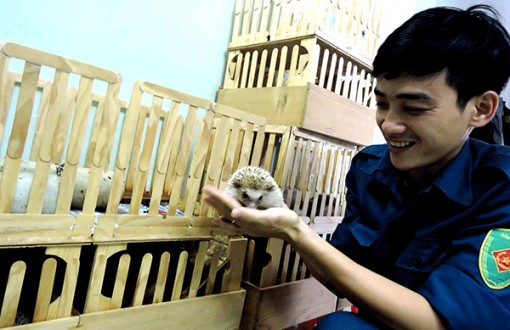 Trang bị nghề, tạo việc làm cho đoàn viên thanh niên