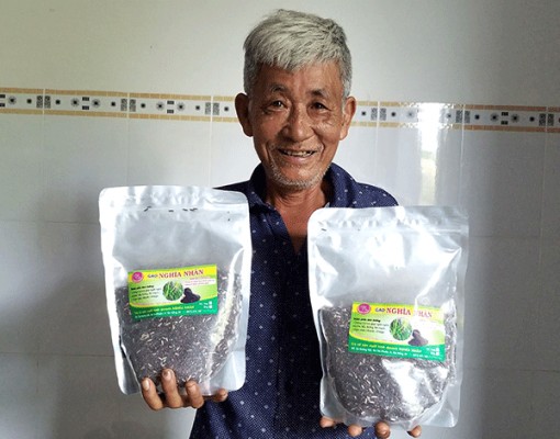 Lão nông vùng biên tâm huyết với cây lúa tím