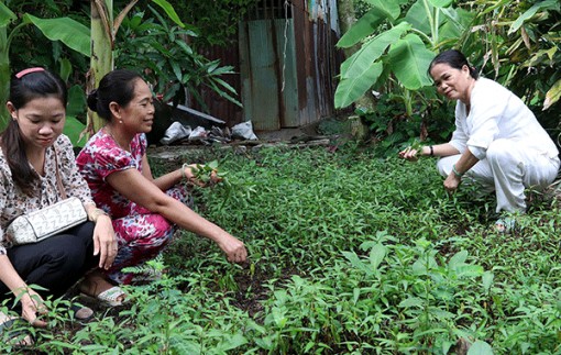 “Bòn ơi”, cùng phấn đấu để thoát nghèo