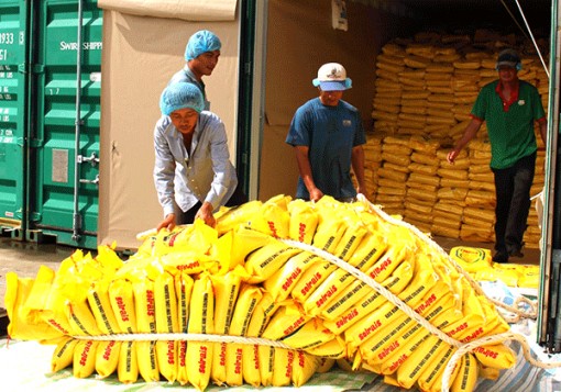 Nhận diện, thích ứng với rào cản thương mại