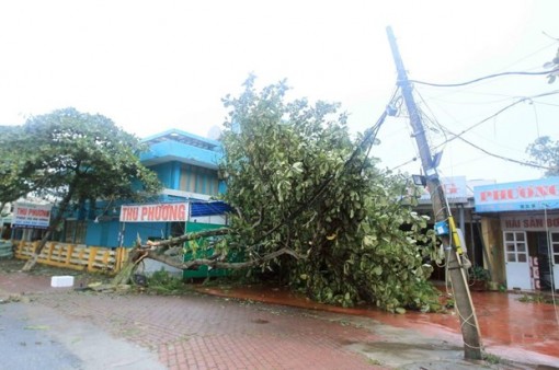 Chủ động ứng phó với mưa lớn do hoàn lưu của cơn bão số 2