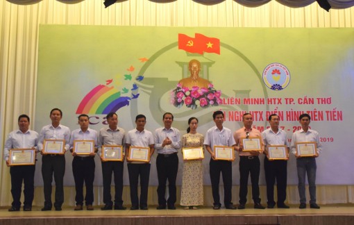 Tuyên dương 24 hợp tác xã và 3 tổ hợp tác điển hình tiên tiến