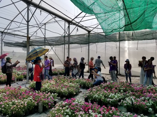 Phát triển du lịch cộng đồng - nông nghiệp từ nền tảng các giá trị văn hoá bản địa