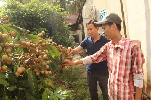 Phát huy sáng tạo trong thanh thiếu niên