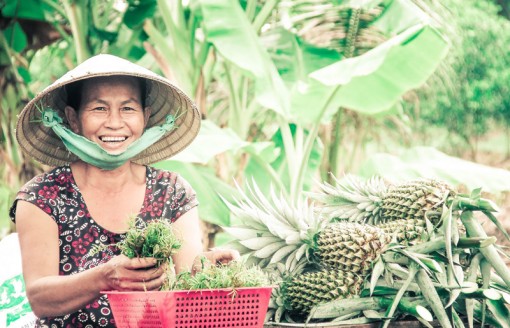 Hiến kế cho nông dân làm du lịch