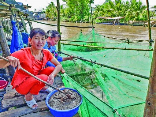 Cùng chị em sinh kế