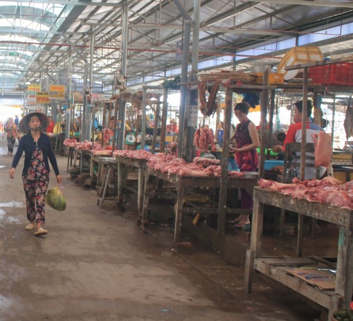 Bệnh dịch tả heo châu Phi tiếp tục xuất hiện trên đàn heo tại hộ chăn nuôi