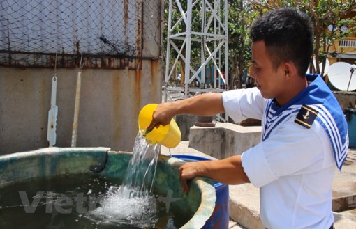 Bài 2: "Bầu sữa quý" giữa trùng khơi giúp Trường Sa thay da đổi thịt