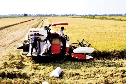 Vĩnh Thạnh nỗ lực hoàn thành chỉ tiêu tăng trưởng kinh tế