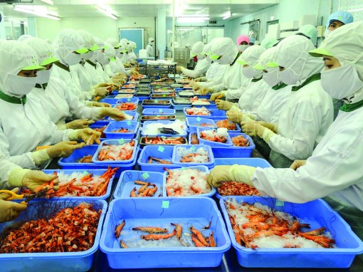 Biến thách thức từ FTA thành cơ hội