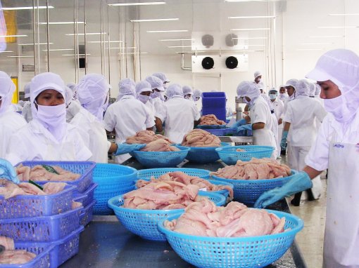 Doanh nghiệp kỳ vọng xu hướng kinh doanh tốt hơn