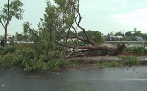 Hơn 200 căn nhà ở Đồng Tháp bị thiệt hại do dông, lốc