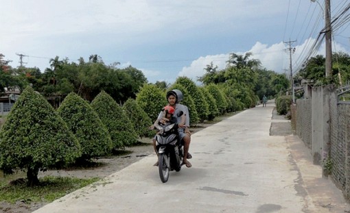 Huyện Vĩnh Thạnh được công nhận đạt chuẩn Nông thôn mới năm 2018