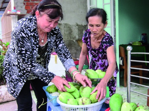 Nghị lực chị Ứng