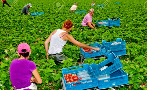 Chống chảy máu chất xám, Ba Lan miễn thuế thu nhập