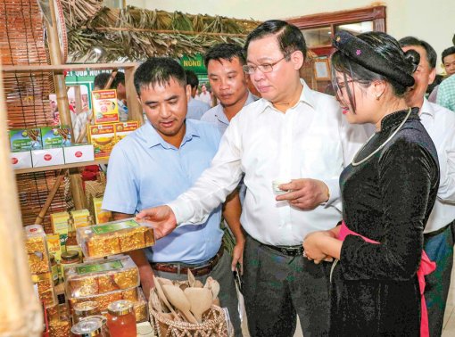 Tổng kết 10 năm Chương trình mục tiêu quốc gia xây dựng nông thôn mới khu vực miền núi phía Bắc