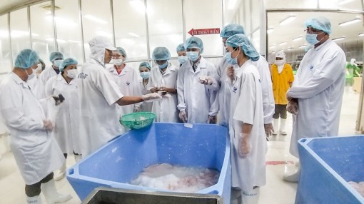 Đoàn doanh nghiệp Singapore và Malaysia  tham quan 2 doanh nghiệp chế biến, xuất khẩu gạo 
và thủy sản tại TP Cần Thơ