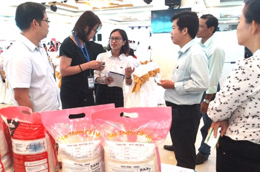 Gần 50 doanh nghiệp Singapore và Malaysia tham gia xúc tiến thương mại, giao dịch mua hàng tại Cần Thơ