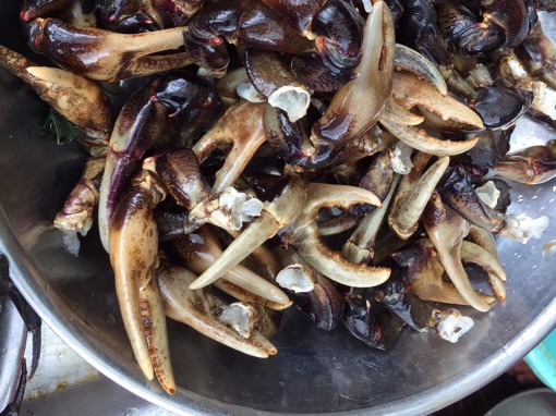 Ốc và cua đồng hút hàng