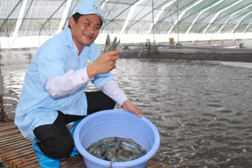 Triển lãm và Hội thảo Quốc tế chuyên ngành Thủy sản Việt Nam sẽ diễn ra tại TP Cần Thơ