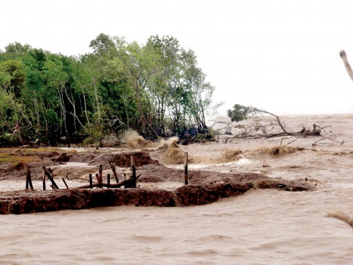 Nhiều đoạn đê quốc phòng ven biển Kiên Giang bị sạt lở nghiêm trọng