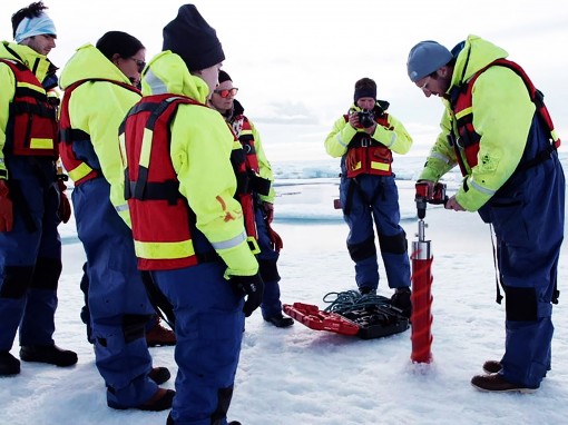 Khi tuyết Bắc Cực và nước mưa có nhựa