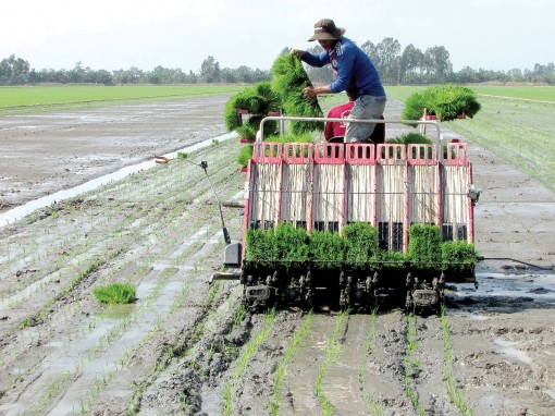 Hướng tới nông thôn mới nâng cao, nông thôn mới kiểu mẫu