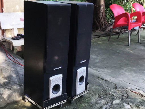 Khổ sở vì tiếng ồn!