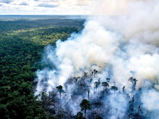 Brazil triển khai quân đội chữa cháy rừng Amazon