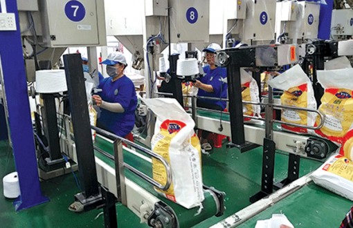 Củng cố năng lực để giảm áp lực thị trường