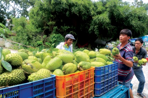 Thị trường “dễ tính” chỉ là thứ “bùa mê”!