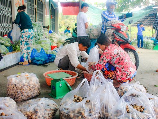 Sản xuất, tiêu dùng các sản phẩm nấm trồng ở địa phương