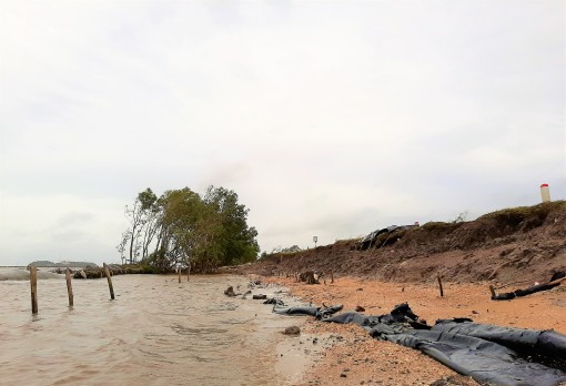 Sạt lở uy hiếp vùng ven biển Cà Mau