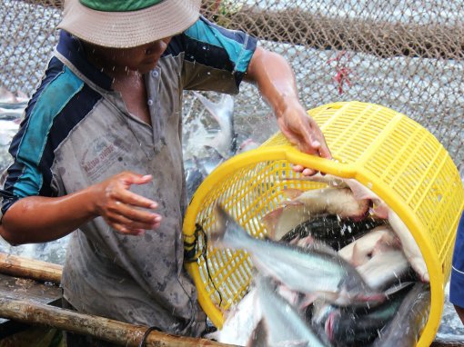 Cổ vũ cho doanh nghiệp

nông nghiệp ĐBSCL