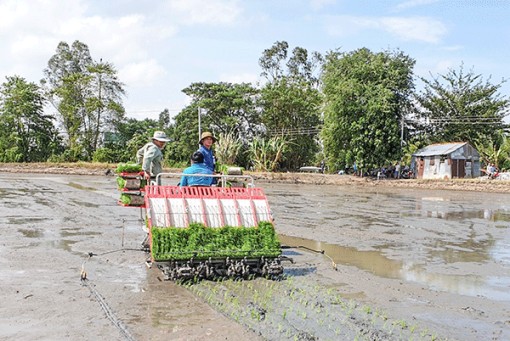 Thủ tướng chỉ thị đẩy mạnh phát triển bền vững ĐBSCL thích ứng với biến đổi khí hậu