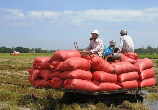 Nét riêng huyện nông thôn mới