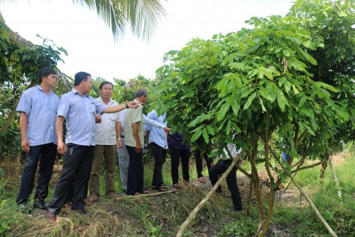 Hội thảo về thực trạng và xu hướng phát triển cây ăn trái