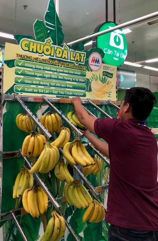 Giá trị xuất khẩu rau quả giảm 5,8%