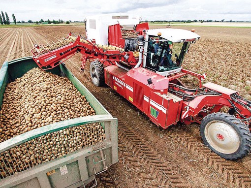 Thế giới phải đa dạng hóa sản xuất thực phẩm