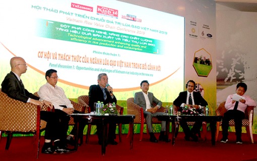 Nâng cao giá trị hạt gạo Việt Nam