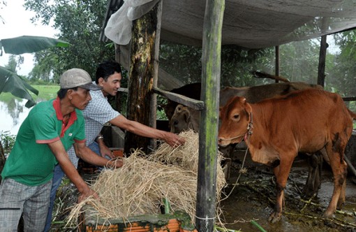 Dấu ấn nhiệm kỳ