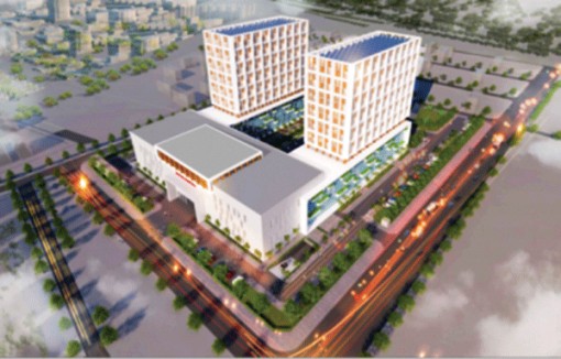 Sao Mai công bố chi trả cổ tức bằng tiền mặt