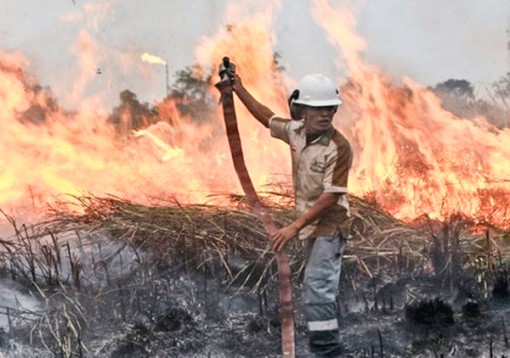 Hơn 900.000 người Indonesia bệnh đường hô hấp do cháy rừng