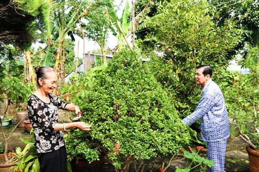 Vun vén hạnh phúc trọn đời
