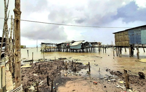 Gian nan giải bài toán sạt lở ở Cà Mau
