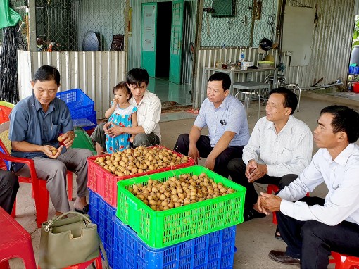 Đa dạng các mô hình kinh tế hiệu quả