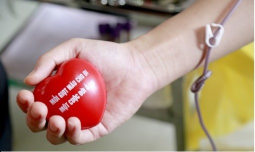 Viện Huyết học kêu gọi hiến tiểu cầu cứu người bệnh