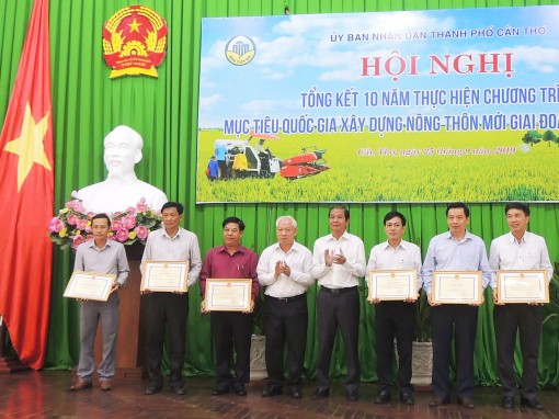 Hướng đến nông thôn mới nâng cao, kiểu mẫu