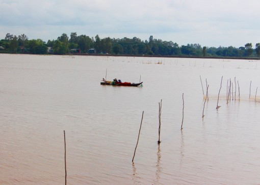 Hạn mặn sẽ xuất hiện sớm và có khả năng ảnh hưởng sản xuất lúa đông xuân 2019-2020